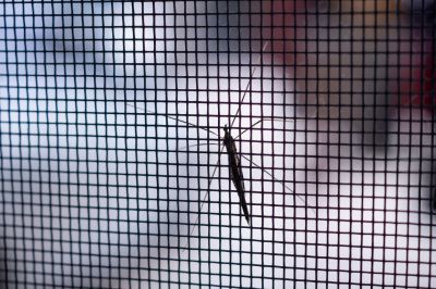 Keep Insects and Debris Outside Where it Belongs
