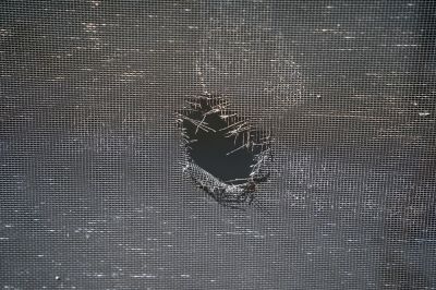 Repair Tears in the Mesh of the Screen Door!